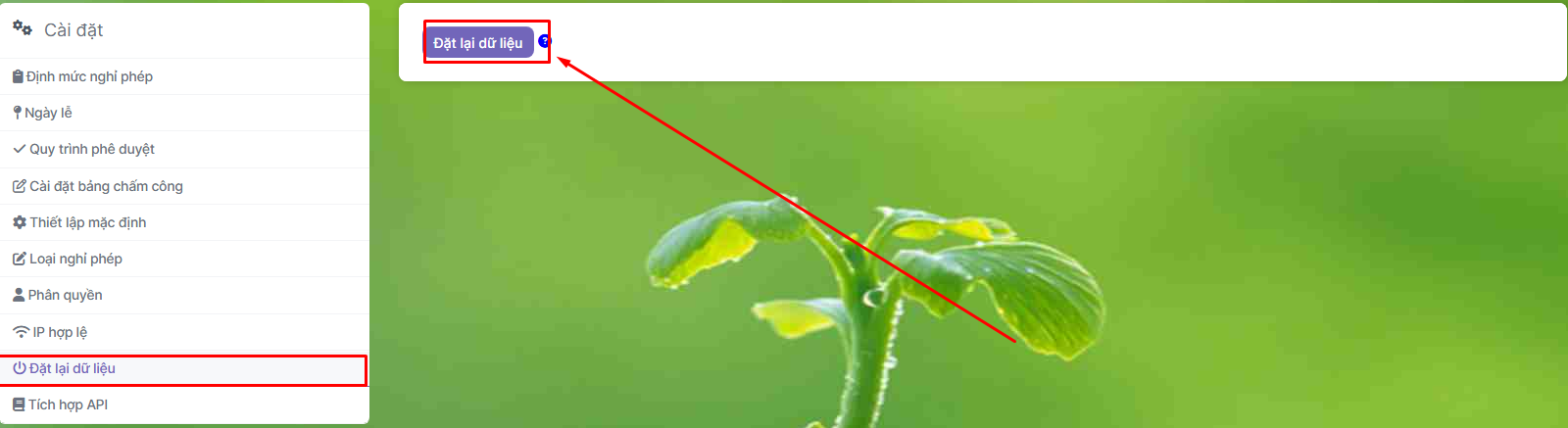 +DijS+AAAABklEQVQDADZcLTgOrPm2AAAAAElFTkSuQmCC